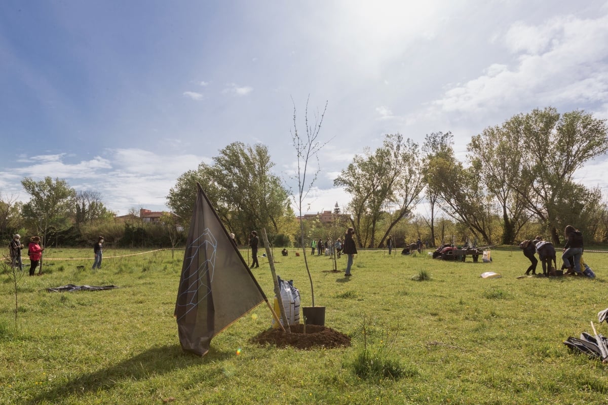 Un parco per il clima. Arte Comunità e Rinaturazione